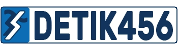 DETIK456